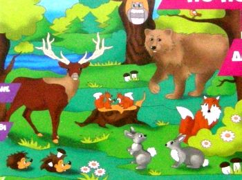 ИД Розпис по полотну 25*30 7144 Лісова гармонія "Ідейка"