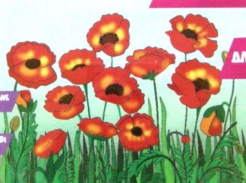 ИД Розпис по полотну 25х35 7114 Маки "Ідейка"