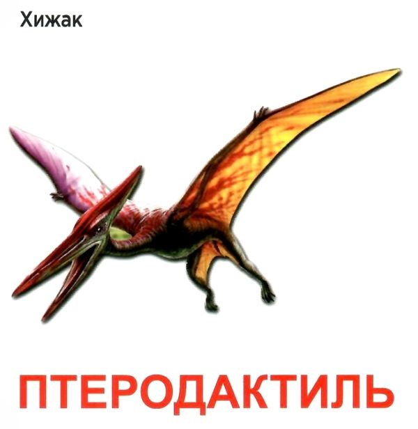 картонки динозаври формат А7 Ціна (цена) 10.00грн. | придбати  купити (купить) картонки динозаври формат А7 доставка по Украине, купить книгу, детские игрушки, компакт диски 3