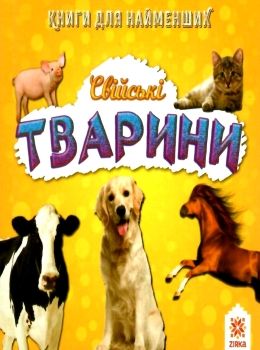 свійські тварини картонки    формат А7 Ціна (цена) 14.90грн. | придбати  купити (купить) свійські тварини картонки    формат А7 доставка по Украине, купить книгу, детские игрушки, компакт диски 0