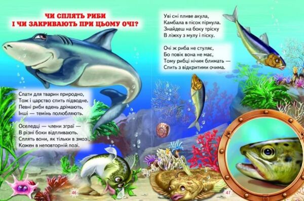 цікавинки пр тваринок книга    (серія промінець) Ціна (цена) 116.60грн. | придбати  купити (купить) цікавинки пр тваринок книга    (серія промінець) доставка по Украине, купить книгу, детские игрушки, компакт диски 5