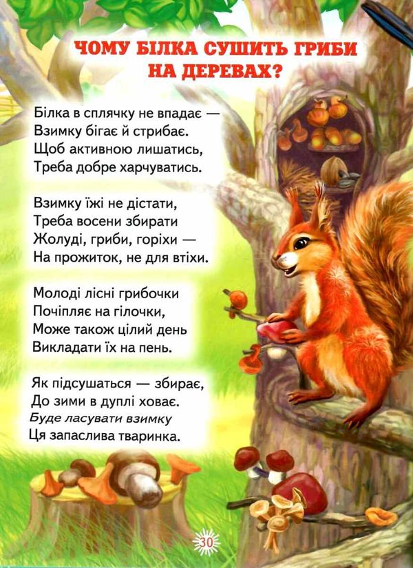 цікавинки пр тваринок книга    (серія промінець) Ціна (цена) 81.20грн. | придбати  купити (купить) цікавинки пр тваринок книга    (серія промінець) доставка по Украине, купить книгу, детские игрушки, компакт диски 3