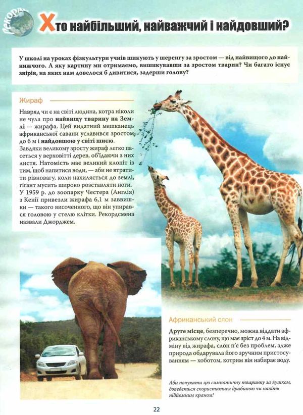 блоха рекорди у світі тварин книга Ціна (цена) 86.80грн. | придбати  купити (купить) блоха рекорди у світі тварин книга доставка по Украине, купить книгу, детские игрушки, компакт диски 3