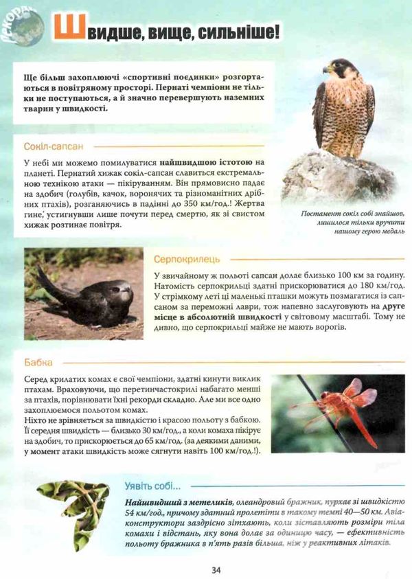 блоха рекорди у світі тварин книга Ціна (цена) 86.80грн. | придбати  купити (купить) блоха рекорди у світі тварин книга доставка по Украине, купить книгу, детские игрушки, компакт диски 5