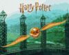 Розпис по номерах 40х50 KHO5225 Harry Potter Золотий Снітч з фарбами металік extra Ідейка Ціна (цена) 253.40грн. | придбати  купити (купить) Розпис по номерах 40х50 KHO5225 Harry Potter Золотий Снітч з фарбами металік extra Ідейка доставка по Украине, купить книгу, детские игрушки, компакт диски 0