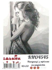 Розпис по номерах 40х50 КНО4545 На одиниці з мріями "Ідейка"