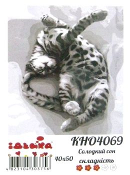 Розпис по номерах 40х50 КНО4069 Солодкий сон Ідейка Ціна (цена) 152.10грн. | придбати  купити (купить) Розпис по номерах 40х50 КНО4069 Солодкий сон Ідейка доставка по Украине, купить книгу, детские игрушки, компакт диски 0