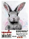 Розпис по номерах 40х50 КНО4067 Цукровий кролик Ідейка Ціна (цена) 127.80грн. | придбати  купити (купить) Розпис по номерах 40х50 КНО4067 Цукровий кролик Ідейка доставка по Украине, купить книгу, детские игрушки, компакт диски 0