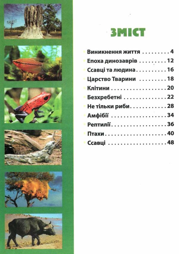 планета тварин Ціна (цена) 78.80грн. | придбати  купити (купить) планета тварин доставка по Украине, купить книгу, детские игрушки, компакт диски 2