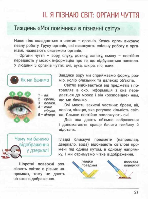 зошит 3 клас робочий зошитдослідника частина 1 Ціна (цена) 90.00грн. | придбати  купити (купить) зошит 3 клас робочий зошитдослідника частина 1 доставка по Украине, купить книгу, детские игрушки, компакт диски 4