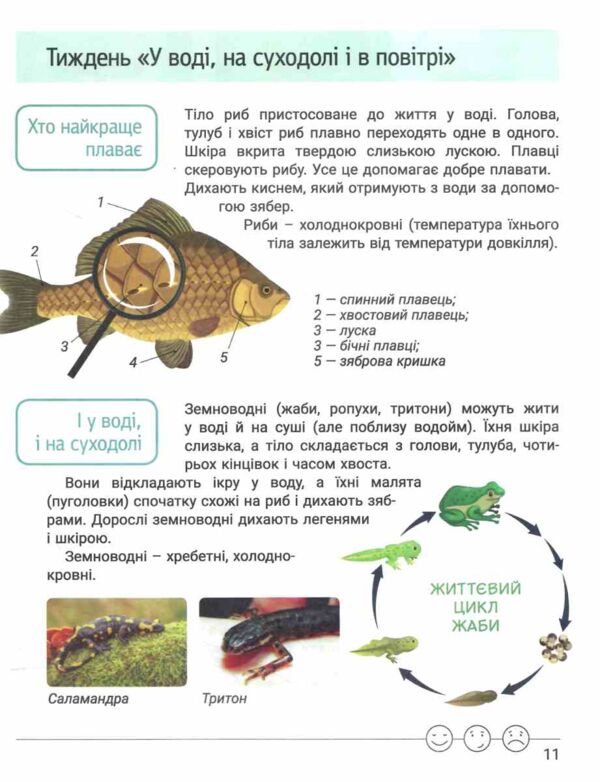 зошит 3 клас робочий зошит дослідника частина 2 Ціна (цена) 90.00грн. | придбати  купити (купить) зошит 3 клас робочий зошит дослідника частина 2 доставка по Украине, купить книгу, детские игрушки, компакт диски 2