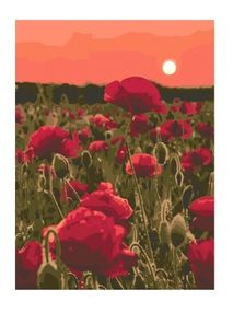 картина по номерам идейка   розпис по номерах ідейка  артикул КНО3579 макова га