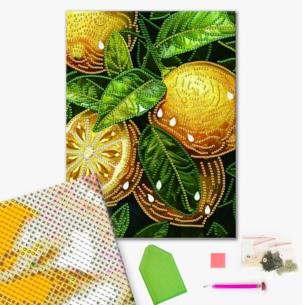 Алмазна мозаїка 25х25 BH023 Жовті лимони brushme Брашми Ціна (цена) 162.50грн. | придбати  купити (купить) Алмазна мозаїка 25х25 BH023 Жовті лимони brushme Брашми доставка по Украине, купить книгу, детские игрушки, компакт диски 1