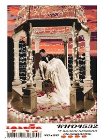 Розпис по номерах 40х50 КНО4532 У полоні кохання "Ідейка"