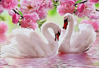 Алмазна мозаїка 50х65 SGK75229 Прекрасні лебеді "Strateg"