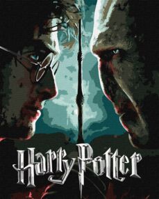 Розпис по номерах 40х50 KH5222 Harry Potter Гаррі та Волдеморт з фарбами металік extra "Ідейка"