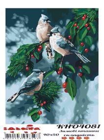 Розпис по номерах 40х50 КНО4081 Зимові пташки "Ідейка"