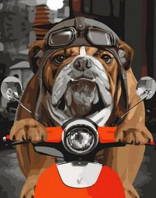 Розпис по номерах 40х50 КНО4153 Спробуй наздогнати "Ідейка"