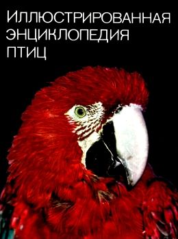 У Иллюстрованная энциклопедия птиц Артия Ціна (цена) 250.00грн. | придбати  купити (купить) У Иллюстрованная энциклопедия птиц Артия доставка по Украине, купить книгу, детские игрушки, компакт диски 0