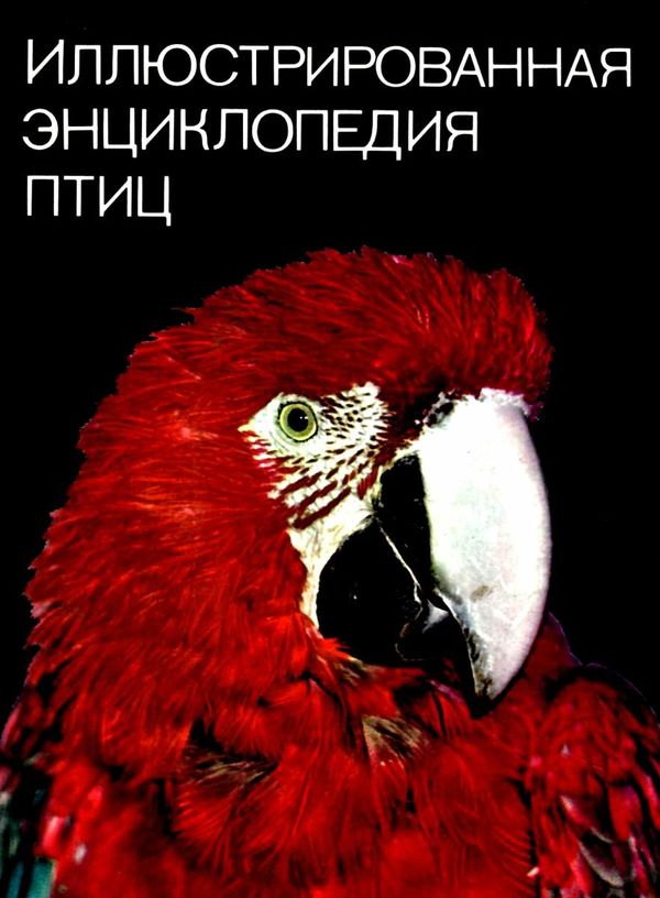 У Иллюстрованная энциклопедия птиц Артия Ціна (цена) 250.00грн. | придбати  купити (купить) У Иллюстрованная энциклопедия птиц Артия доставка по Украине, купить книгу, детские игрушки, компакт диски 1