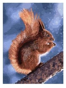 картина по номерам идейка   розпис по номерах ідейка  артикул КНО4205 маленька