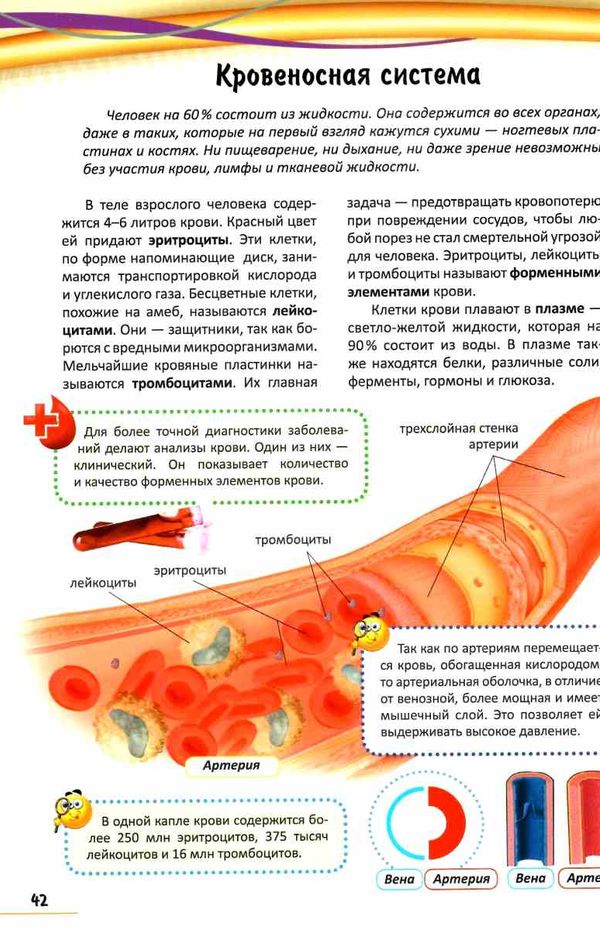 Интересный мир Моя первая книга о человеке Пегас Ціна (цена) 127.50грн. | придбати  купити (купить) Интересный мир Моя первая книга о человеке Пегас доставка по Украине, купить книгу, детские игрушки, компакт диски 5