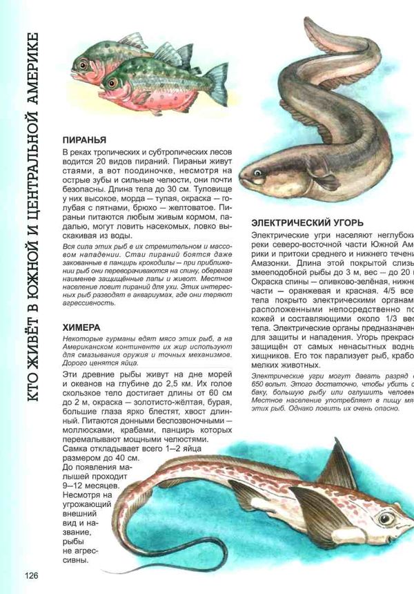 Энц Большая энц животных Пегас 9786177131327 Ціна (цена) 303.58грн. | придбати  купити (купить) Энц Большая энц животных Пегас 9786177131327 доставка по Украине, купить книгу, детские игрушки, компакт диски 5