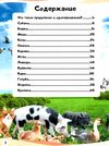 энциклопедия в вопросах и ответах домашние животные и их дикие родственники книга   купити Ціна (цена) 73.80грн. | придбати  купити (купить) энциклопедия в вопросах и ответах домашние животные и их дикие родственники книга   купити доставка по Украине, купить книгу, детские игрушки, компакт диски 3