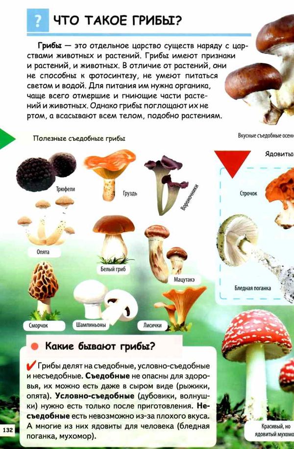 энциклопедия почемучкам обо всем на свете книга 9789669474858 Ціна (цена) 303.58грн. | придбати  купити (купить) энциклопедия почемучкам обо всем на свете книга 9789669474858 доставка по Украине, купить книгу, детские игрушки, компакт диски 6