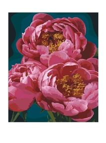 картина по номерам идейка   розпис по номерах ідейка  артикул КНО23044 пишність