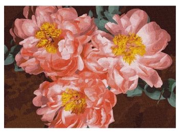 Розпис по номерах 40х50 КНО3110 Піонове натхнення "Ідейка"