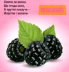 картонки щоцики формат А6 Ціна (цена) 53.80грн. | придбати  купити (купить) картонки щоцики формат А6 доставка по Украине, купить книгу, детские игрушки, компакт диски 3