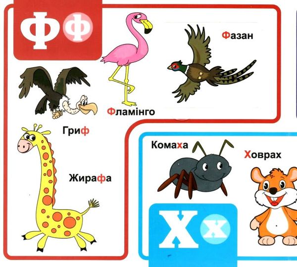 картонки Мої перші слова Абетка 33 віконця синя формат В-6 Ціна (цена) 112.10грн. | придбати  купити (купить) картонки Мої перші слова Абетка 33 віконця синя формат В-6 доставка по Украине, купить книгу, детские игрушки, компакт диски 3