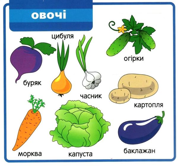 картонки Мої перші слова Світ навколо 33 віконця формат В-6 біла Ціна (цена) 107.40грн. | придбати  купити (купить) картонки Мої перші слова Світ навколо 33 віконця формат В-6 біла доставка по Украине, купить книгу, детские игрушки, компакт диски 2