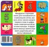картонки Мої перші слова Цифри 33 віконця формат В-6 Ціна (цена) 112.10грн. | придбати  купити (купить) картонки Мої перші слова Цифри 33 віконця формат В-6 доставка по Украине, купить книгу, детские игрушки, компакт диски 3