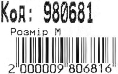 Рюкзак Leader 980681 California Б, Ловець снів 42х29х15см Ціна (цена) 402.00грн. | придбати  купити (купить) Рюкзак Leader 980681 California Б, Ловець снів 42х29х15см доставка по Украине, купить книгу, детские игрушки, компакт диски 3