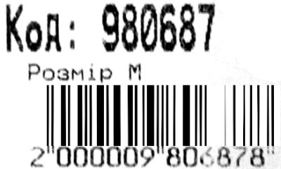 Рюкзак Leader 980687 California Б, кеди 42х29х15см Ціна (цена) 409.00грн. | придбати  купити (купить) Рюкзак Leader 980687 California Б, кеди 42х29х15см доставка по Украине, купить книгу, детские игрушки, компакт диски 3