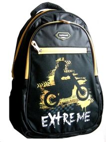 Рюкзак Leader 980690 California Б, extrime 42х29х15см