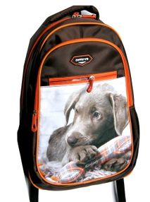 Рюкзак Leader 980708 California Б, собака 42х29х15см Рюкзак Leader 980708 California Б, собака 42х29х15см