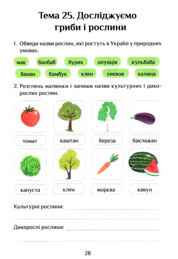 я досліджую світ 3 клас частина 2 діагностичні роботи Ціна (цена) 63.75грн. | придбати  купити (купить) я досліджую світ 3 клас частина 2 діагностичні роботи доставка по Украине, купить книгу, детские игрушки, компакт диски 4