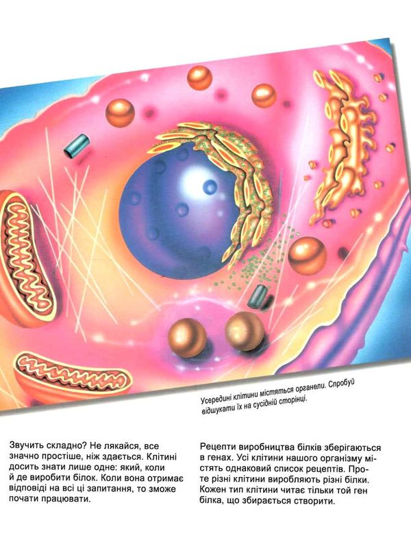 генетика для дітей дивовижний світ клітин книга Ціна (цена) 65.30грн. | придбати  купити (купить) генетика для дітей дивовижний світ клітин книга доставка по Украине, купить книгу, детские игрушки, компакт диски 3