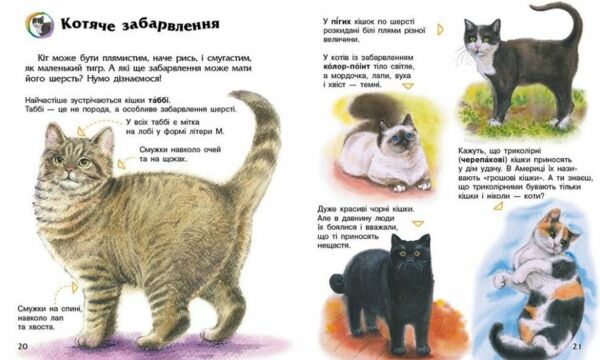 енциклопедія дошкільника коти Ціна (цена) 94.90грн. | придбати  купити (купить) енциклопедія дошкільника коти доставка по Украине, купить книгу, детские игрушки, компакт диски 4
