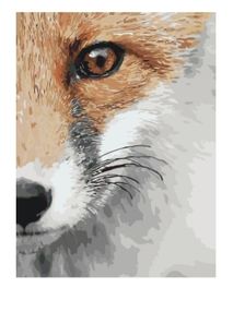 Розпис по номерах 40х50 КНО4065 Хитрий звір "Ідейка"