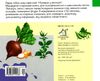 що це? сонях картонка книга    серія зазирни у віконце Ціна (цена) 90.40грн. | придбати  купити (купить) що це? сонях картонка книга    серія зазирни у віконце доставка по Украине, купить книгу, детские игрушки, компакт диски 3