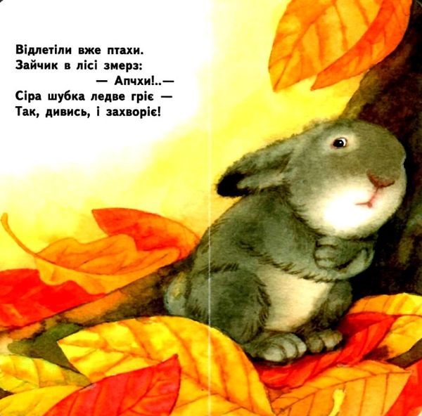 для маленької долоньки зайченя картинка  9789667478360 Ціна (цена) 37.90грн. | придбати  купити (купить) для маленької долоньки зайченя картинка  9789667478360 доставка по Украине, купить книгу, детские игрушки, компакт диски 1