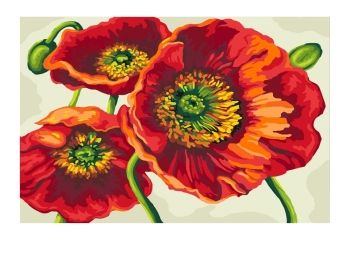 Розпис по номерах 40х50 КНО3056 Яскраві маки "Ідейка"