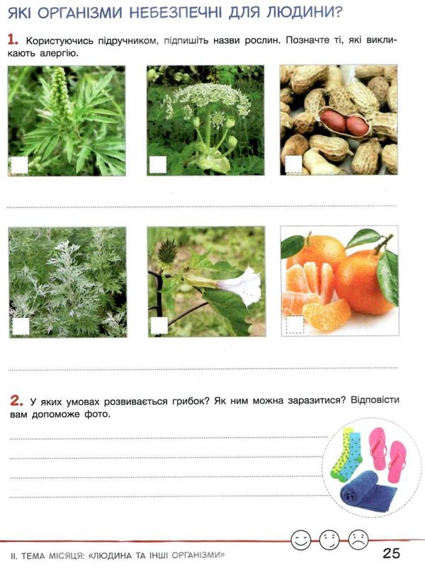 зошит 4 клас дослідника робочий зошит частина 1 НУШ Ціна (цена) 80.00грн. | придбати  купити (купить) зошит 4 клас дослідника робочий зошит частина 1 НУШ доставка по Украине, купить книгу, детские игрушки, компакт диски 3