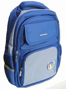 Рюкзак CFS 86825 шкільний 42,5х29,5х4,5см Рюкзак CFS 86825 шкільний 42,5х29,5х4,5см