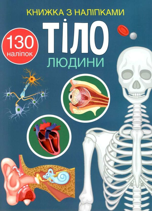 книжка з наліпками  Тіло людини Ціна (цена) 64.30грн. | придбати  купити (купить) книжка з наліпками  Тіло людини доставка по Украине, купить книгу, детские игрушки, компакт диски 1