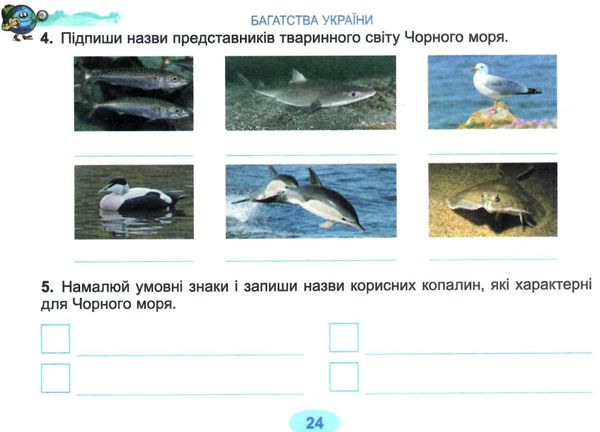 я досліджую світ 4 клас діагностичні картки Ціна (цена) 42.50грн. | придбати  купити (купить) я досліджую світ 4 клас діагностичні картки доставка по Украине, купить книгу, детские игрушки, компакт диски 4